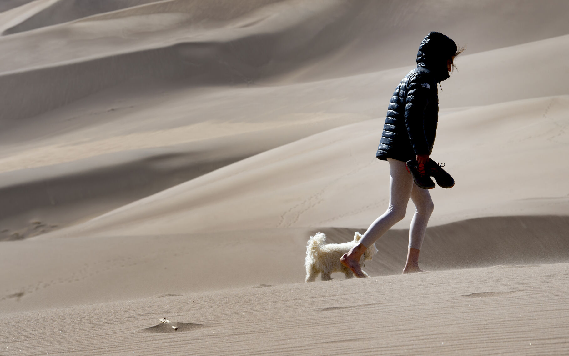 04_07_21 sand dunes1050.jpg